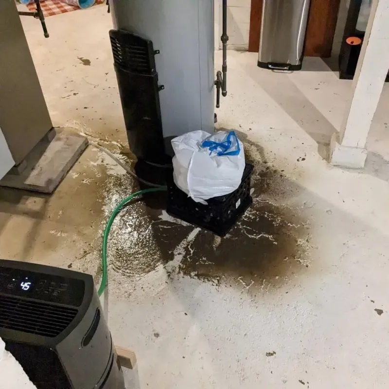 Sewage Backup Cleanup Service in Clearfield, UT